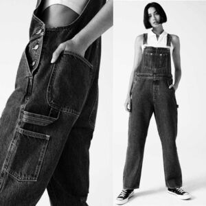 Aritzia Sunday Best Overhead Overall